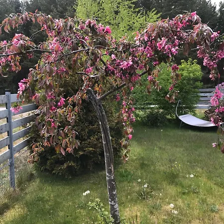 Apartament Salia Juros