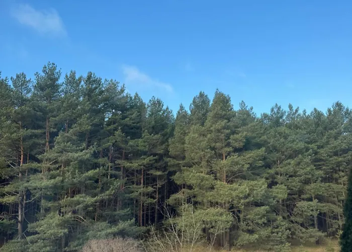 דירה Salia Juros